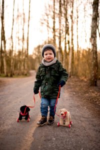 Nachziehhunde kaufen