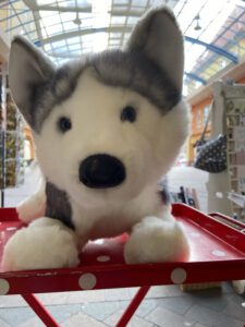 Douglas Cuddle Toys, Nadia Husky