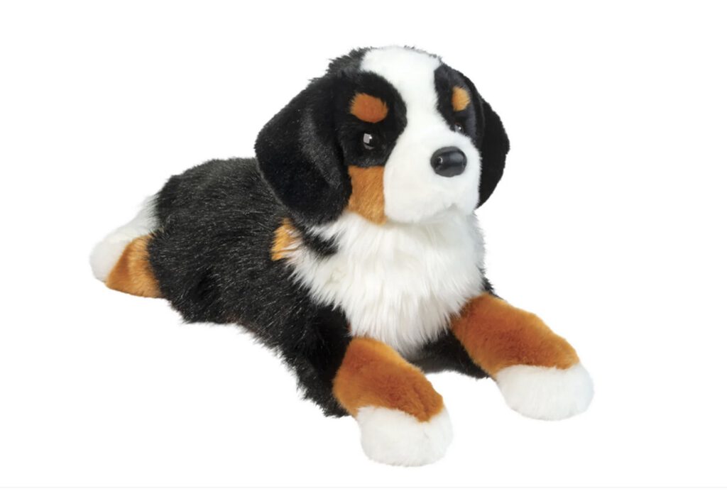Berner Sennenhund Trooper