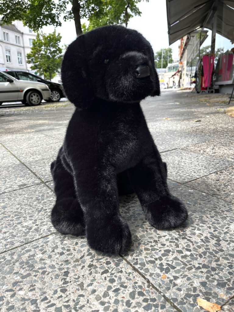 Douglas Cuddle Toys Spruce BLACK LABRADOR