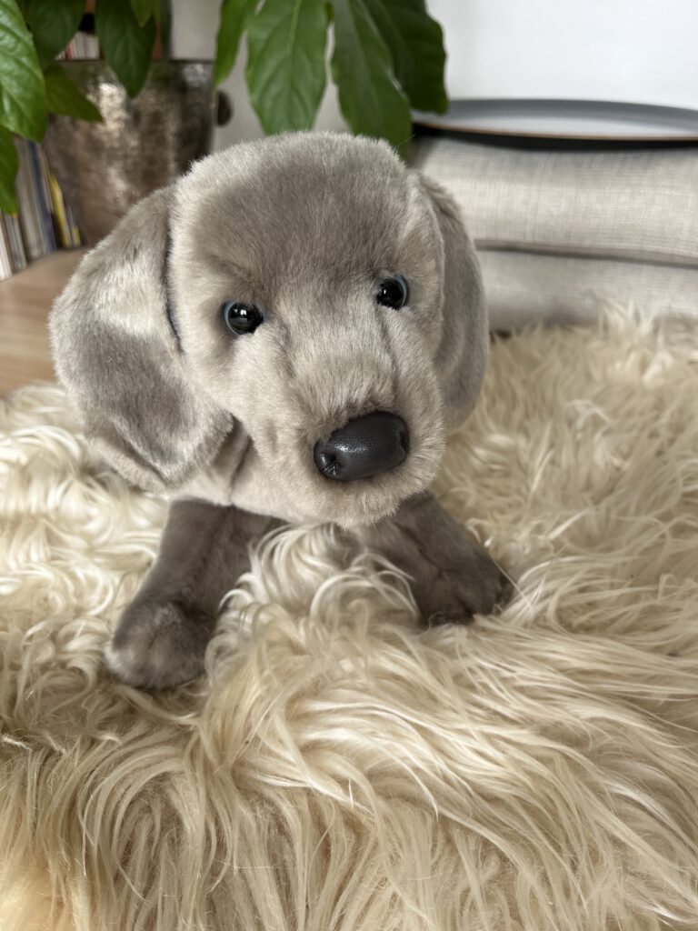 Douglas Cuddle Toys - Cassie Weimaraner