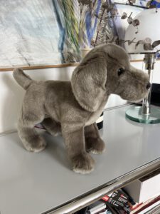 Douglas Cuddle Toys - Cassie Weimaraner
